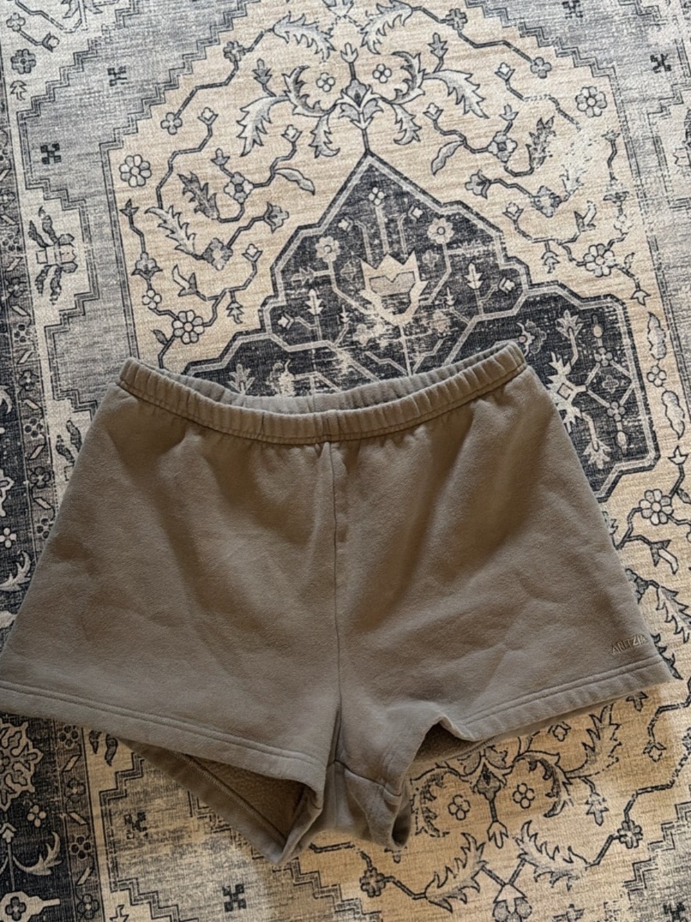 Aritzia Fleece Athletic Shorts — Taupe